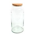 Halfopen terrarium fles L 8L 19x19x41 cm